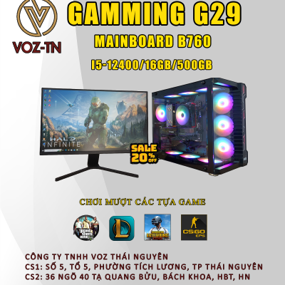 Gaming-G29